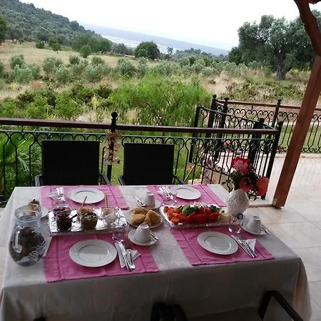 Guest house Meyveli Ev
